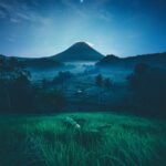 mountain near green trees at night