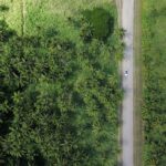 aerial photography of vehicle on grey road beside trees during daytime