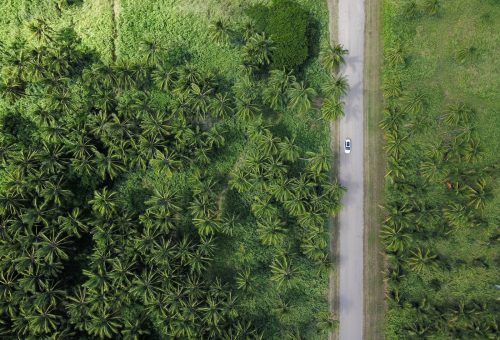 aerial photography of vehicle on grey road beside trees during daytime