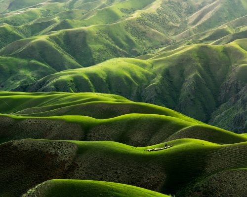 bird's eye view photograph of green mountains